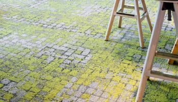 Innocoat Moss Master